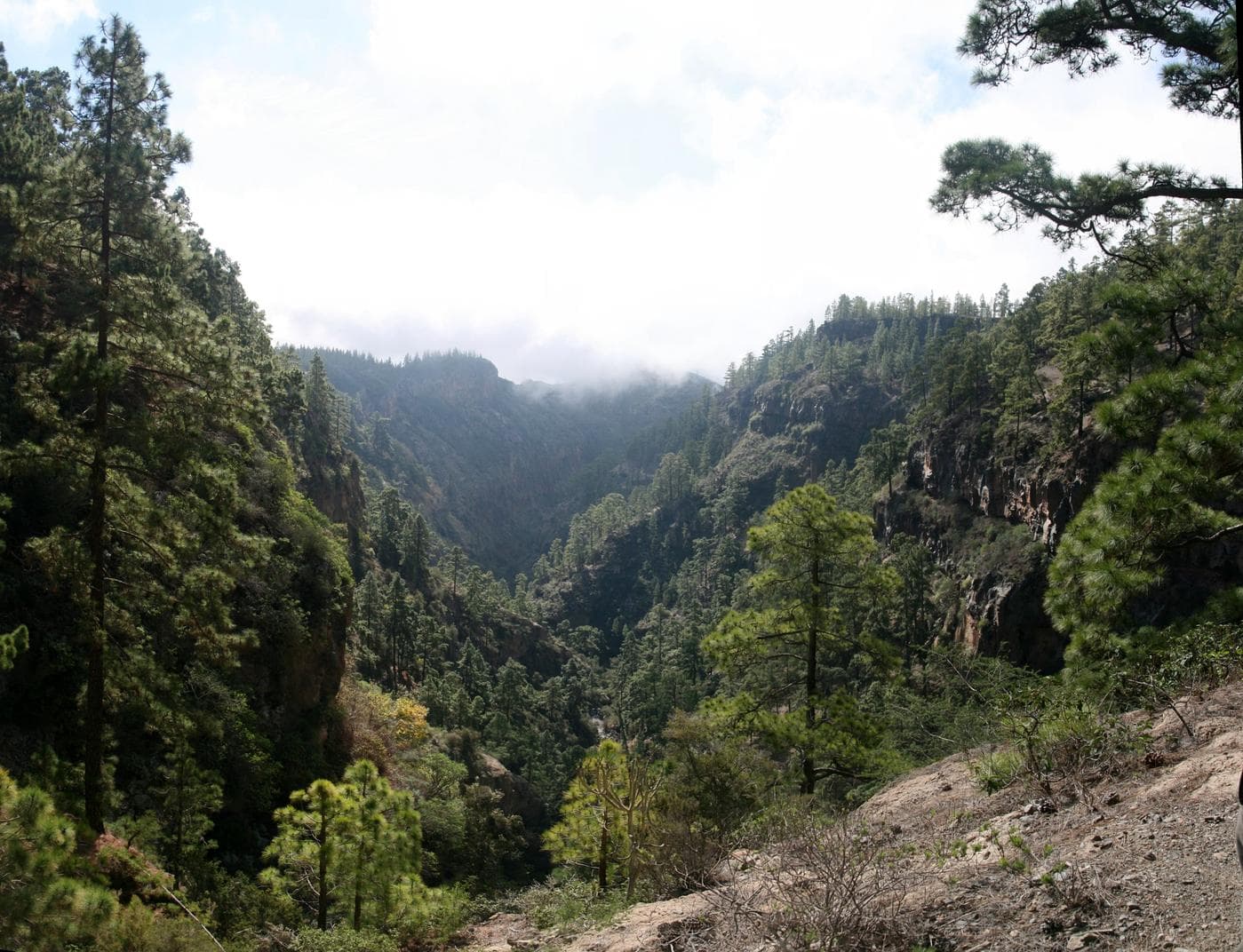 Portada · paisaje volcánico tinerfeño · foto de Javier Sanchez Portero · CC BY-SA 3.0 vía Wikimedia Commons