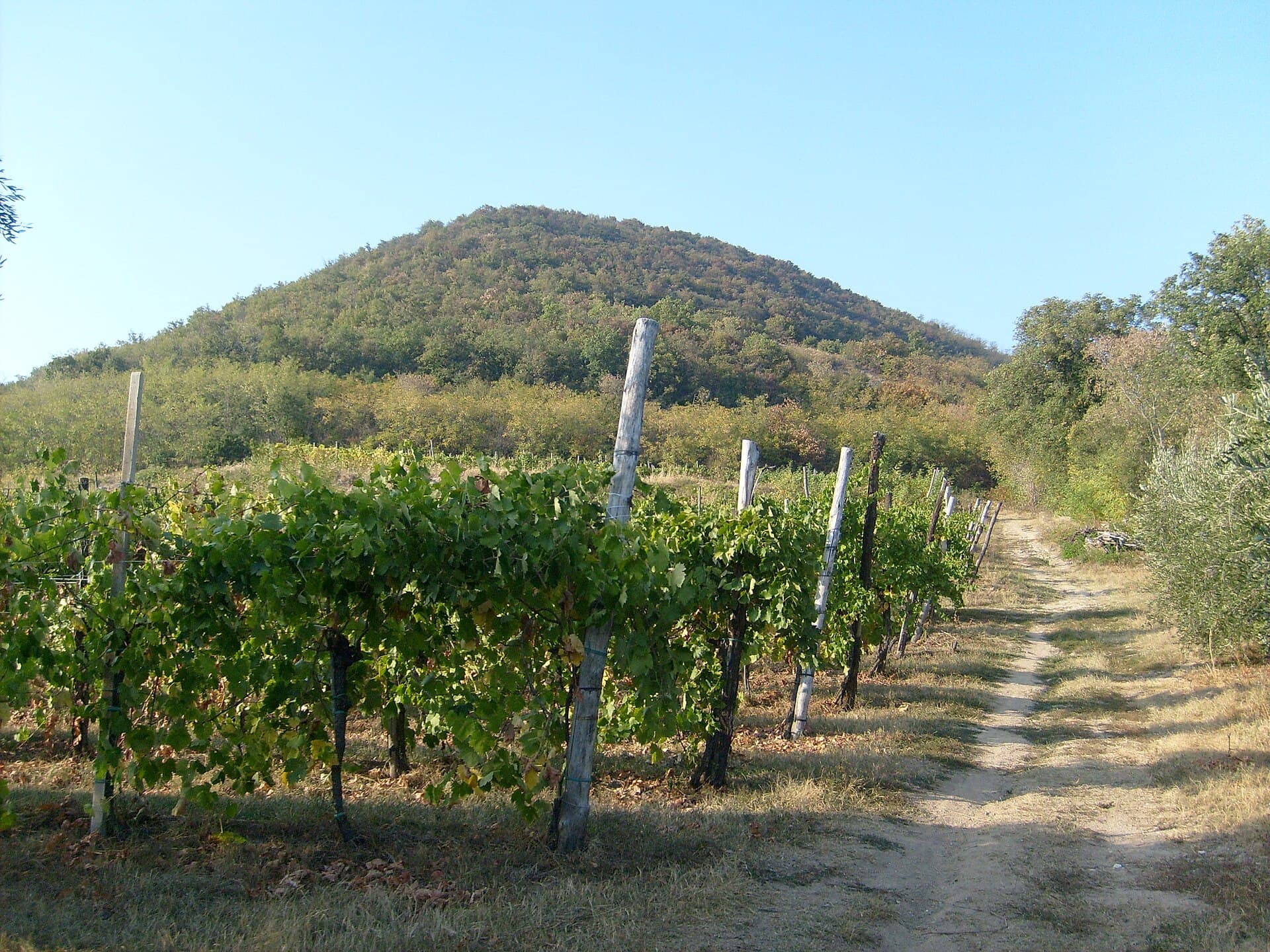 Monte Cinto — techo granítico de la isla · foto de Rics1299 · CC BY-SA 3.0 vía Wikimedia Commons