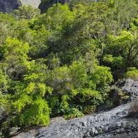 Vista de Bras Rouge (inférieur)