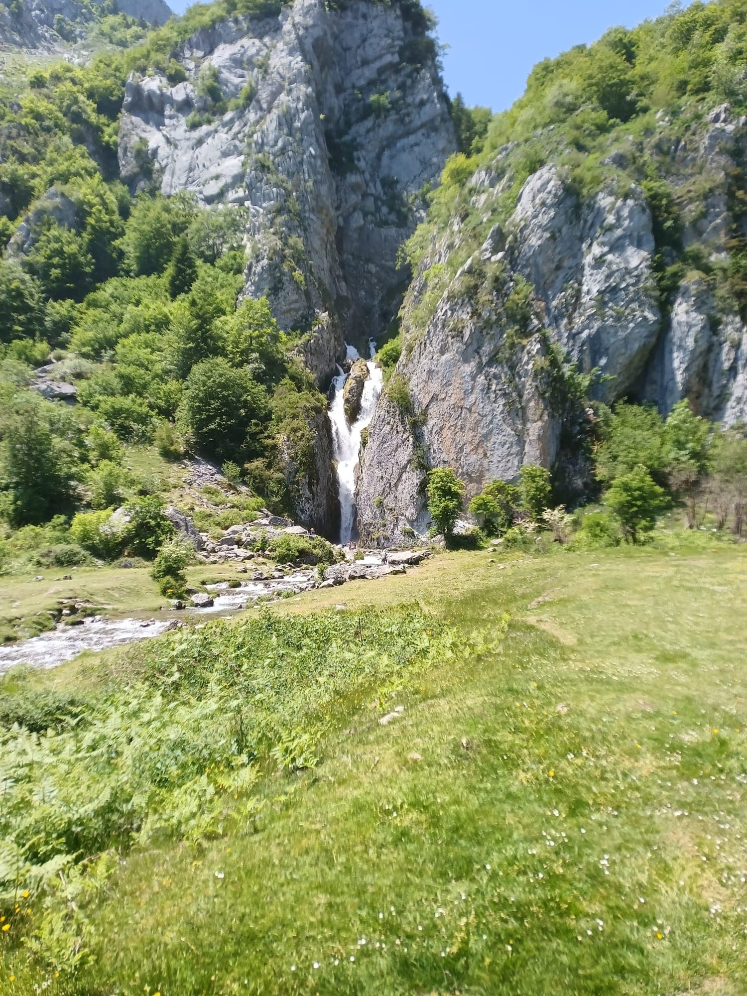 Report 27/5/2026