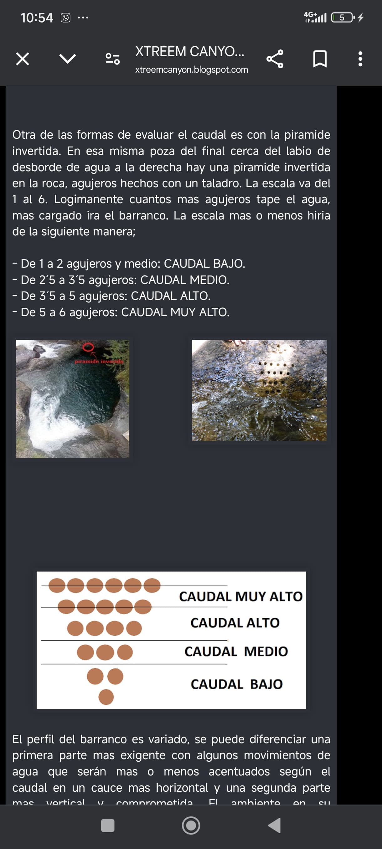 Report 28/7/2025