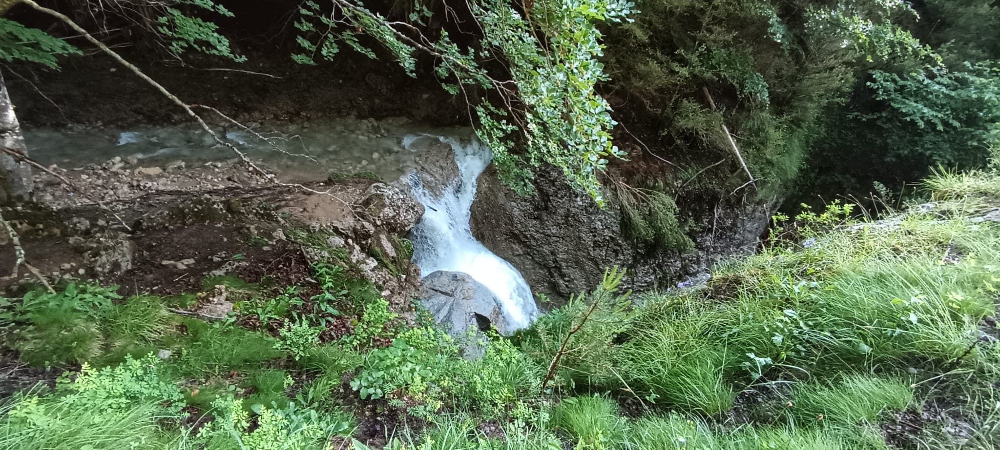 Report 7/6/2026